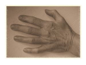 Sophie Lumen's Hand